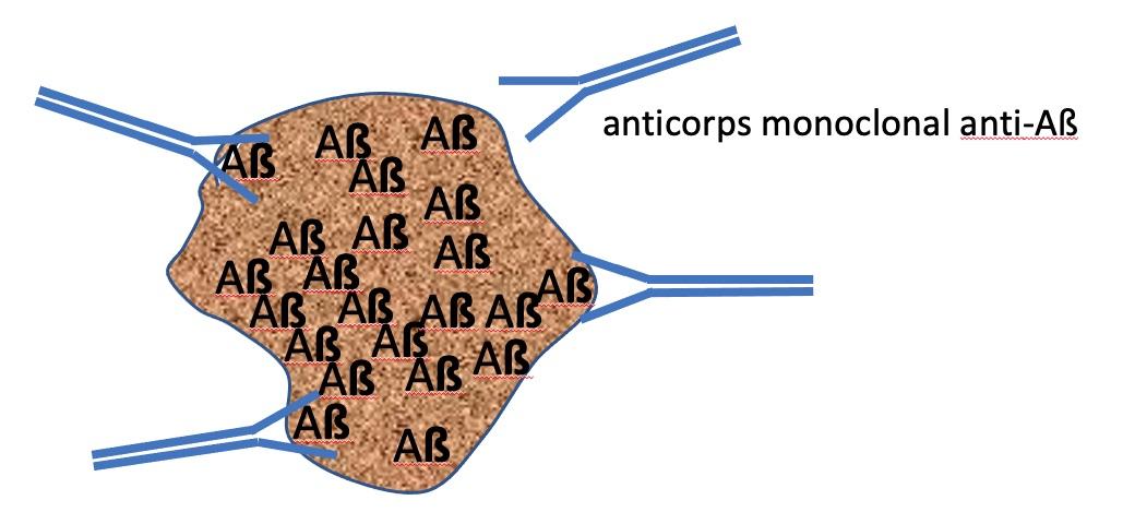 Mab antia